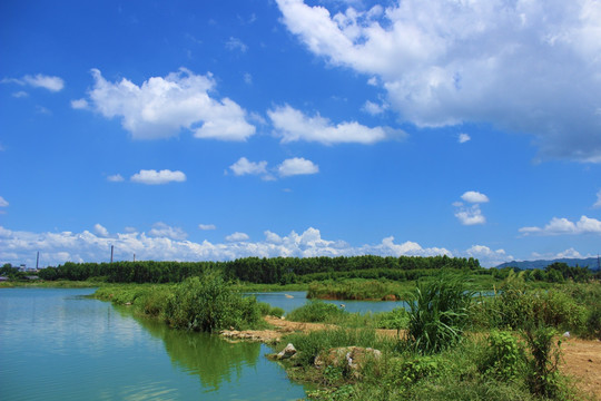 蓝天绿水