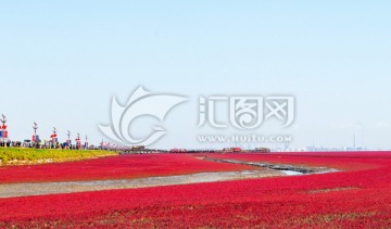 盘锦 红海滩