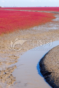 红海滩