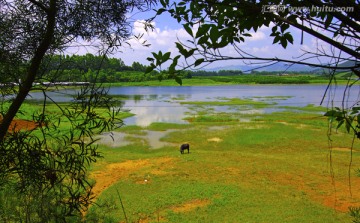 湖泊 湿地