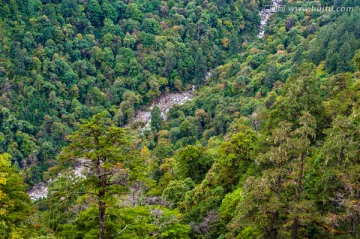 高黎贡山 怒江风光