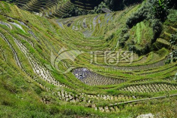 龙脊梯田