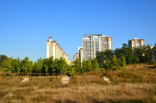 小区楼房