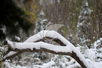 下雪