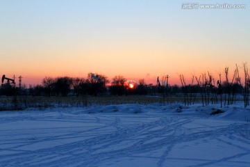 湿地 冬天 白雪 芦苇