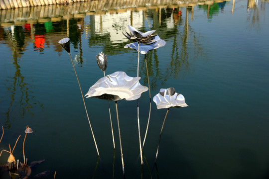 莲花池