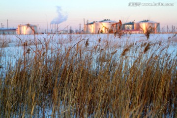 油田 油罐 油气工厂 芦苇