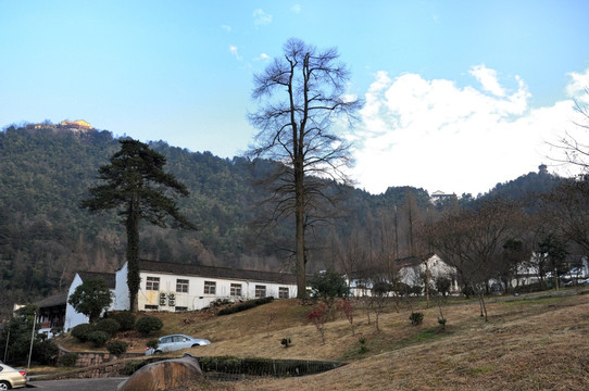 九华山风光 九华街景区