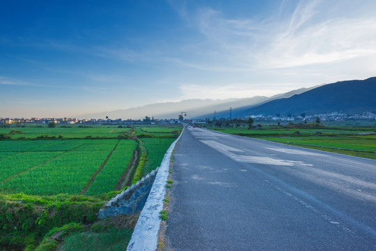 田间公路