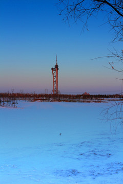 湿地 冬天 白雪 观光塔