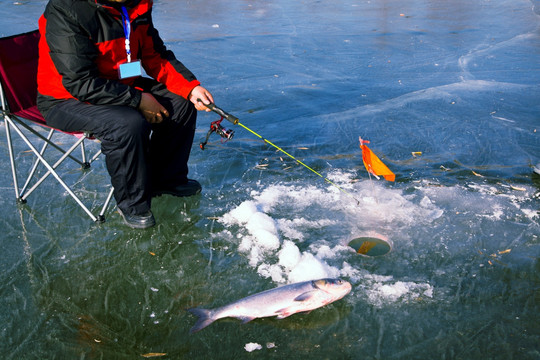 冰钓比赛 钓鱼