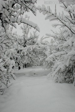 雪景