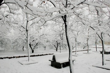 雪景