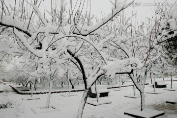 雪景