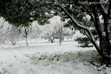 雪景