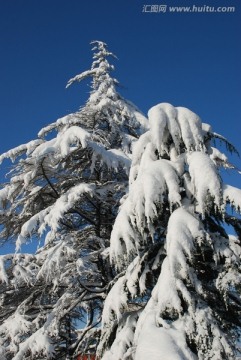 雪景