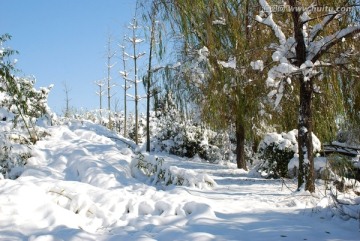 冰雪 冬季