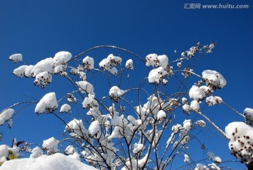 冰雪 冬季