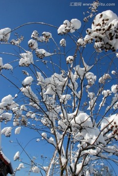 冰雪 冬季