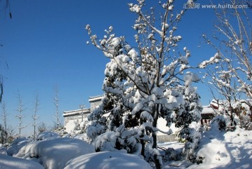 冬日雪景