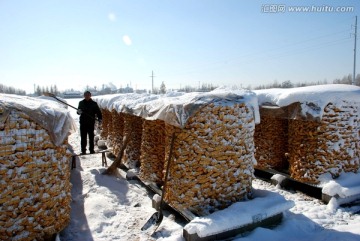 瑞雪兆丰年