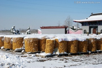 瑞雪兆丰年