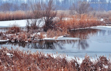 伊宁湿地冬景