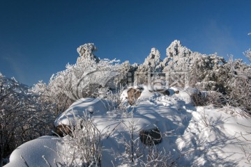 雪山