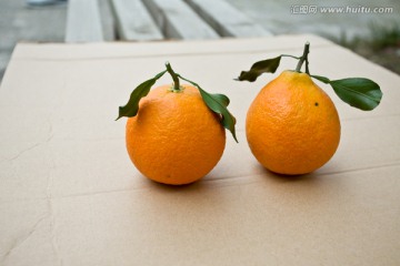 金堂脐橙爱媛橙