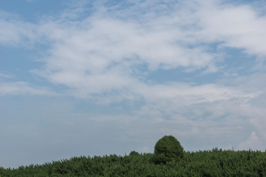 天空和大地