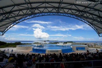 日本冲绳海之美水族馆海豚表演