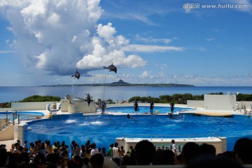 日本冲绳海之美水族馆海豚表演