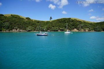 新西兰北岛岛屿湾