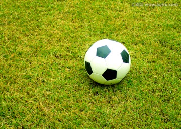 草坪上的足球