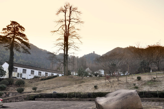 九华山风光 九华街景区