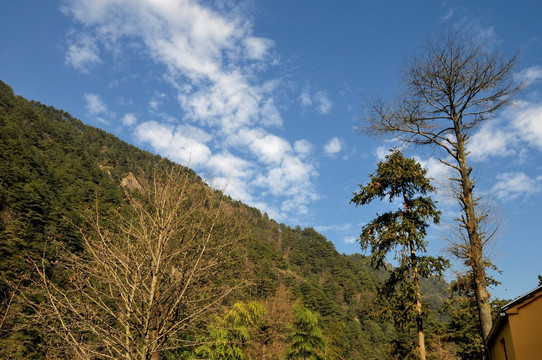 九华山风光 青山