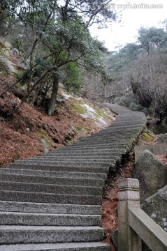 九华山风光 上山阶梯