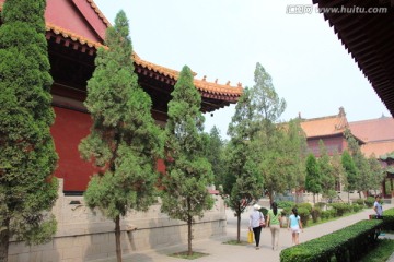 柏林禅寺