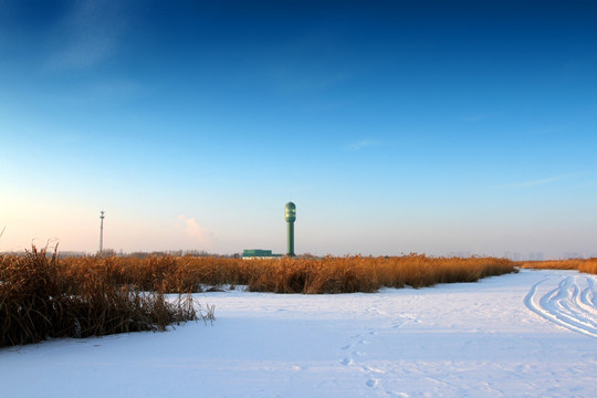 湿地 芦苇 雪 观光塔