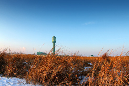 湿地 芦苇 雪 观光塔