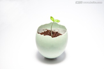 小苗