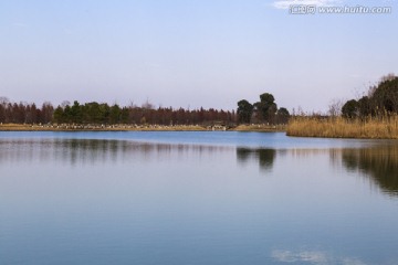湖泊 湿地