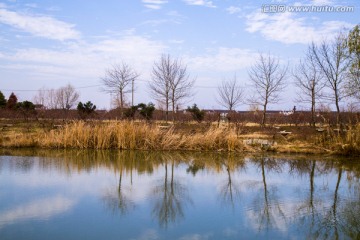 太湖湿地公园风光