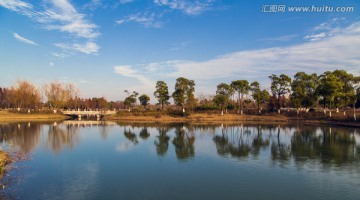 芦苇荡 湿地