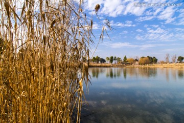 太湖国家湿地公园