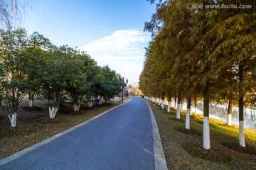 太湖湿地公园风光