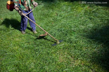 割草机 修剪草坪
