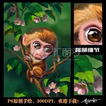 萌宠 猴子 插画 手绘猴