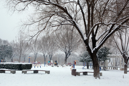 雪景