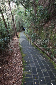 山间小路